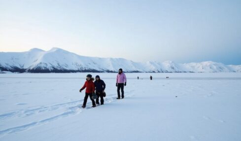 Nuit polaire en Laponie : le guide essentiel pour une aventure inoubliable
